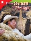 Image for From grass to bridge