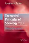 Image for Theoretical Principles of Sociology, Volume 3 : Mesodynamics