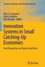 Image for Innovation Systems in Small Catching-Up Economies