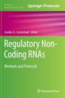 Image for Regulatory Non-Coding RNAs
