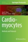 Image for Cardiomyocytes