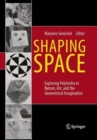 Image for Shaping Space : Exploring Polyhedra in Nature, Art, and the Geometrical Imagination