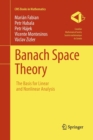 Image for Banach space theory  : the basis for linear and nonlinear analysis