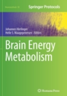 Image for Brain Energy Metabolism