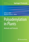 Image for Polyadenylation in Plants