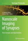 Image for Nanoscale Imaging of Synapses