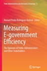 Image for Measuring E-government Efficiency