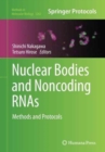 Image for Nuclear Bodies and Noncoding RNAs