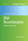 Image for DNA Recombination : Methods and Protocols