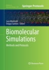 Image for Biomolecular Simulations : Methods and Protocols