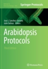 Image for Arabidopsis protocols