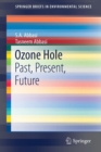 Image for Ozone hole  : past, present and future