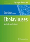 Image for Ebolaviruses: methods and protocols