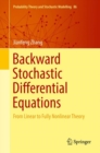 Image for Backward stochastic differential equations: from linear to fully nonlinear theory