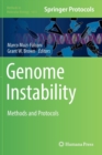 Image for Genome Instability