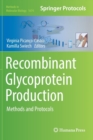 Image for Recombinant Glycoprotein Production