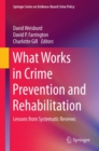 Image for What works in crime prevention and rehabilitation  : lessons from systematic reviews