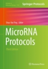Image for MicroRNA protocols