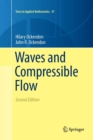 Image for Waves and Compressible Flow