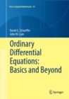 Image for Ordinary Differential Equations: Basics and Beyond