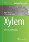 Image for Xylem : Methods and Protocols