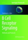 Image for B Cell Receptor Signaling