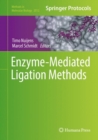 Image for Enzyme-mediated ligation methods