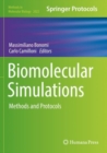 Image for Biomolecular Simulations : Methods and Protocols
