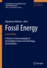 Image for Fossil energy