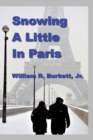 Image for Snowing a Little In Paris