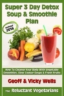 Image for Super 3 Day Detox Soup &amp; Smoothie Plan : How To Cleanse Your Body With Vegetable Smoothies, Slow Cooker Soups &amp; Fresh Fruits