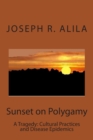 Image for Sunset on Polygamy