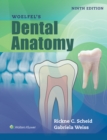 Image for Woelfels Dental Anatomy