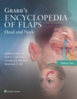 Image for Grabb&#39;s encyclopedia of flaps.