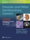 Image for Cancer  : principles &amp; practice of oncology: Prostate and other genitourinary cancers