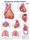 Image for Anatomy of the Heart