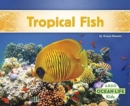 Image for Tropical Fish
