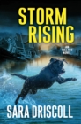 Image for Storm rising : 3