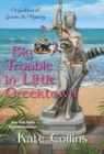 Image for Big Trouble in Little Greektown