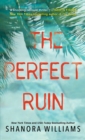 Image for The Perfect Ruin
