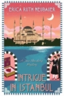 Image for Intrigue in Istanbul