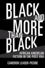 Image for Black and More than Black : African American Fiction in the Post Era