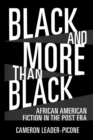 Image for Black and More than Black : African American Fiction in the Post Era