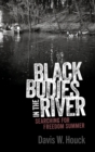 Image for Black bodies in the river  : searching for Freedom Summer