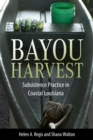 Image for Bayou Harvest : Subsistence Practice in Coastal Louisiana