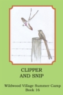 Image for Clipper and Snip