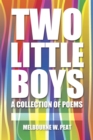 Image for Two Little Boys: A Collection of Poems