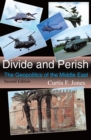 Image for Divide and perish: the geopolitics of the Middle East