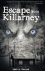 Image for Escape from Killarney