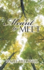 Image for Meant to Meet